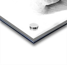 Beloved Companion 2 - 4 Acrylic print