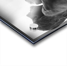 Alouette - 1 Acrylic print