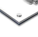 Beloved Companion 2 - 3 Acrylic print