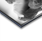 Alouette - 1 Acrylic print