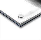 Beloved Companion 2 - 1 Acrylic print