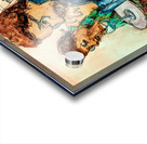 PSX 20251002 205242 Acrylic print