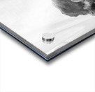 Quiet Mood --- 20251029 074946 2 Acrylic print