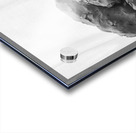 Quiet Mood --- 20251029 074930 2 Acrylic print