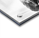 Quiet Mood --- 20251029 075144 2 Acrylic print