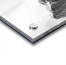 Quiet Mood --- image Acrylic print