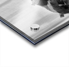 Day of Atonement --- 20251104 074633 Acrylic print