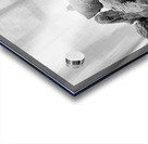 Day of Atonement --- 20251104 074424 Acrylic print