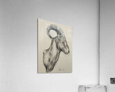 20220707 112037 Acrylic Print