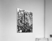 20F923 1 Acrylic Print