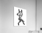 20C4E0 1 Acrylic Print