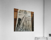 IMG 20 4 Acrylic Print