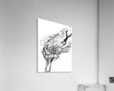 203498 1 Acrylic Print