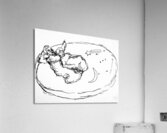 20656C 1 Acrylic Print