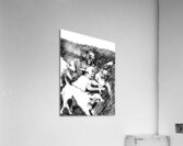 PSX 20240722 175258 Acrylic Print