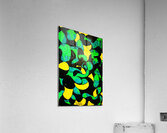 PSX 20240722 165003   Copy Acrylic Print