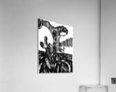 20230702 154922 3   Copy Acrylic Print