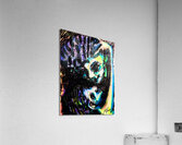 PSX 20240722 173355   Copy Acrylic Print