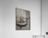 20230716 010714   Copy Acrylic Print