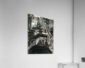 20230923 163721   Copy Acrylic Print