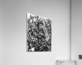 20230628 222744 2 EDIT   Copy Acrylic Print