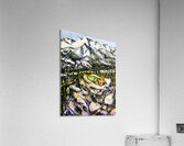 20240108 1629490 3 Acrylic Print