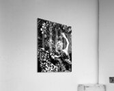 PSX 20240722 180219 Acrylic Print