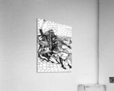 PSX 20240722 180818 Impression acrylique