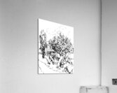 20231226 003222 3 Acrylic Print