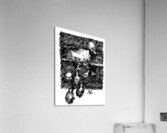 PSX 20240722 181347 Acrylic Print