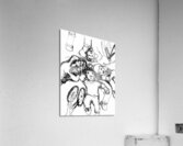 20240121 004056 3   Copy Acrylic Print