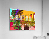 Marc Melis 2 13 24 256   20240213   AdobeRGB Prod Acrylic Print