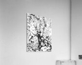 20240524 195851 Acrylic Print