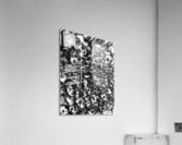 20240315 001943 3 Acrylic Print