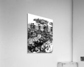 20240328 004220 2 Acrylic Print