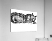 20240520 0157390 2 Acrylic Print