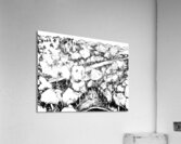 20240516 002633 2 Acrylic Print