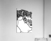 20240625 210059 2 Acrylic Print