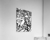 PSX 20241124 115026 3 Acrylic Print