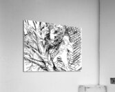 Porch Nap     20240521 220124 2 EDIT Acrylic Print