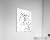 20241203 020830 3 Acrylic Print