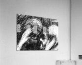 PSX 20241224 180707 Acrylic Print