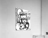 PSX 20250209 194404 Acrylic Print