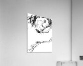 PSX 20241220 032723 Acrylic Print