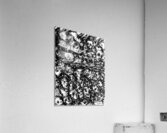 20240315 001943 3 Acrylic Print