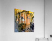 20240701 181546 4 Acrylic Print