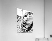 PSX 20250302 165240 Acrylic Print