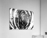 PSX 20250302 200705 Acrylic Print