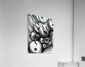 PSX 20250413 013731 Acrylic Print