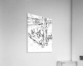 20240106 212254 Acrylic Print